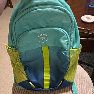 Firefly Outdoor Gear Backpack - Blue and Green